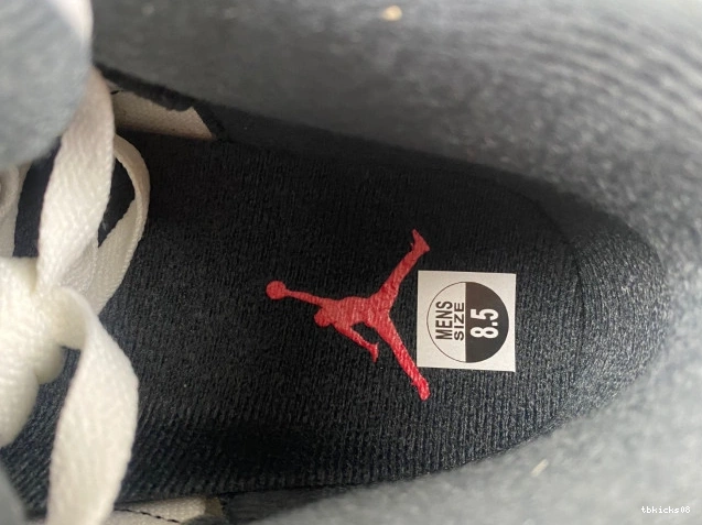 Reps TBkick Jordan 3 Air CT8532-106 Cement Grey 0811